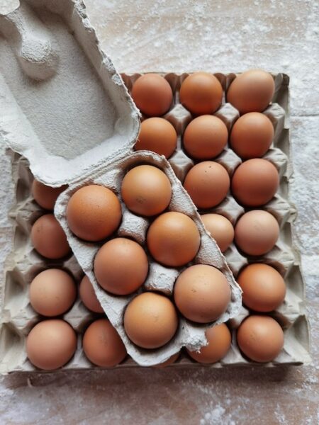 Oeufs bio x6