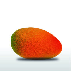 Mangue