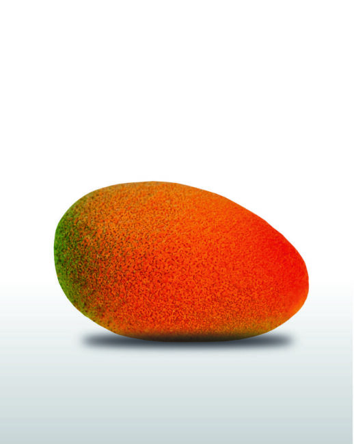 Mangue