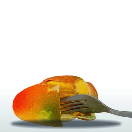 Mangue