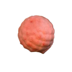 Framboise