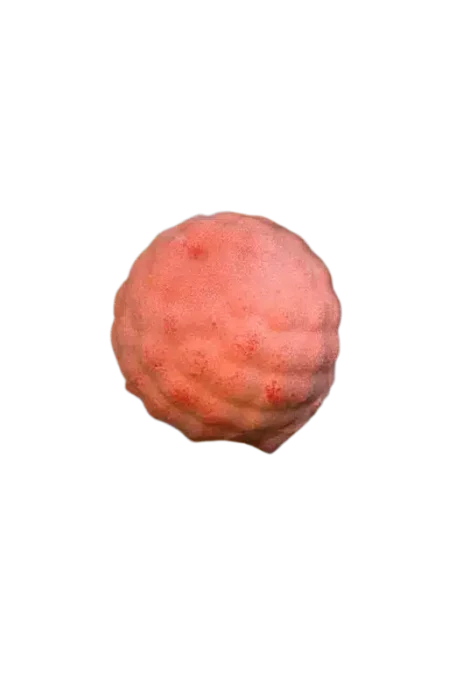 Framboise
