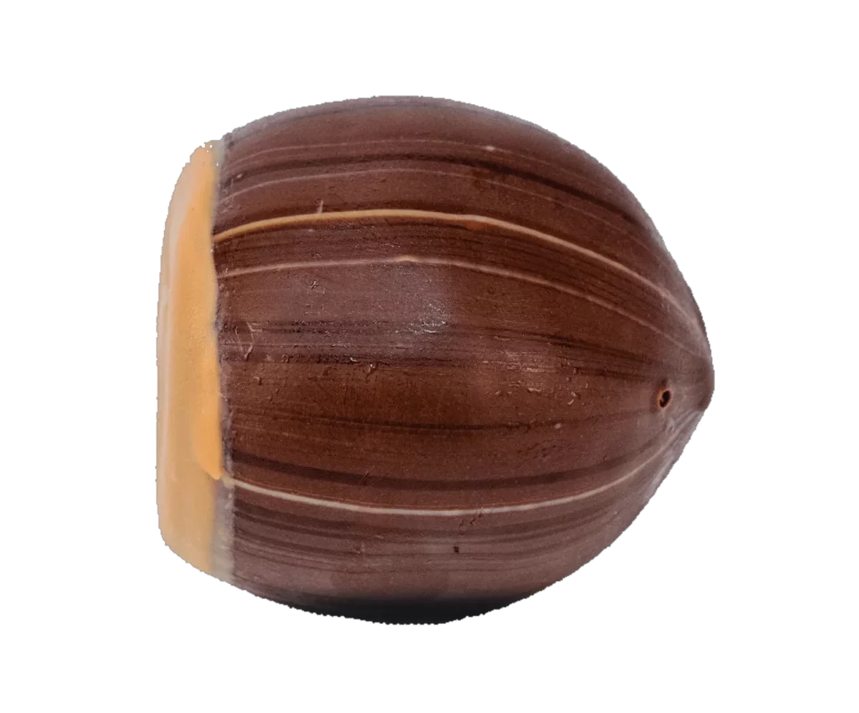 Noisette