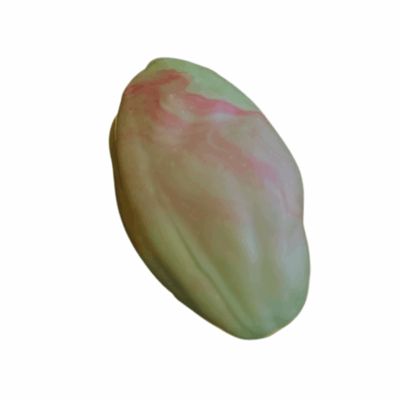 Pistache1